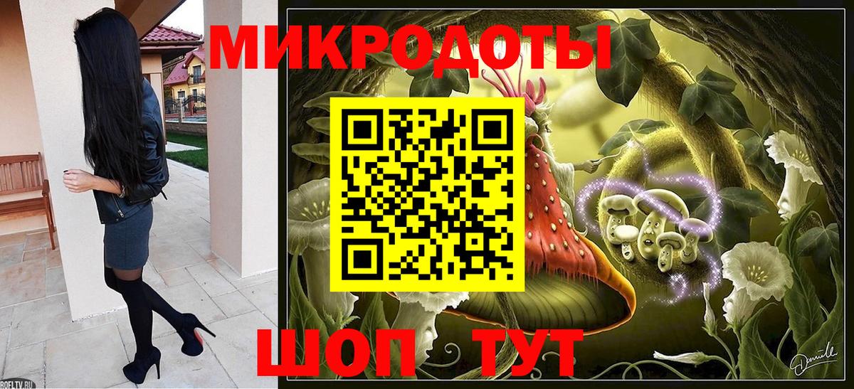 Псилоцибиновые грибы Psilocybe Туапсе