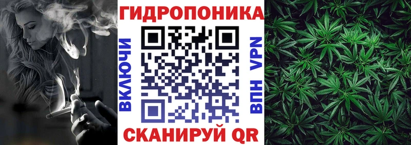 Бошки марихуана план  наркошоп  Туапсе 